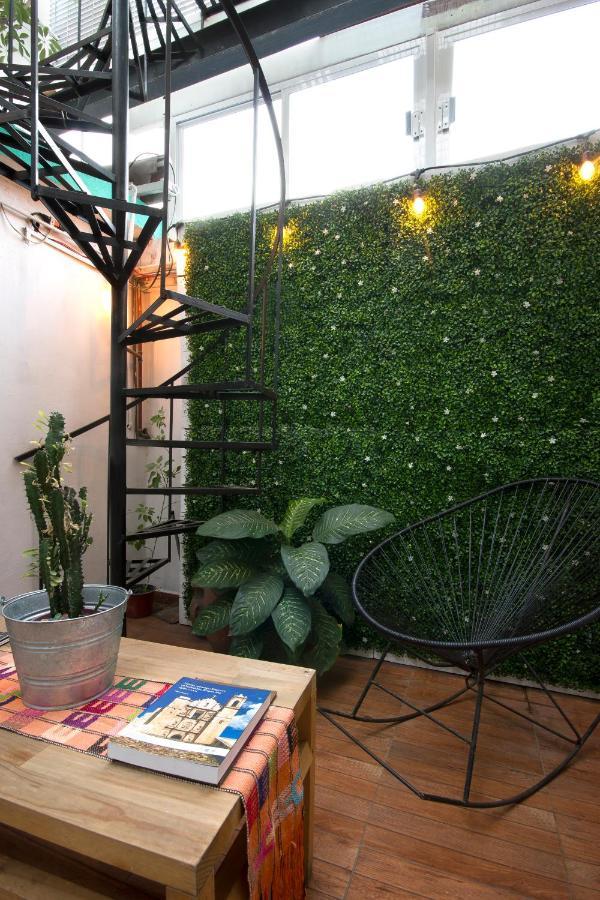 Casa Indigo Cdmx Ostello Città del Messico